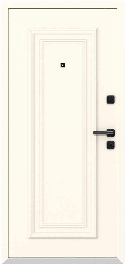 Входная дверь 