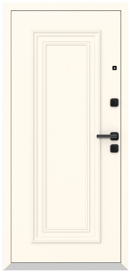 Входная дверь 