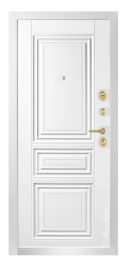 Входная дверь 
