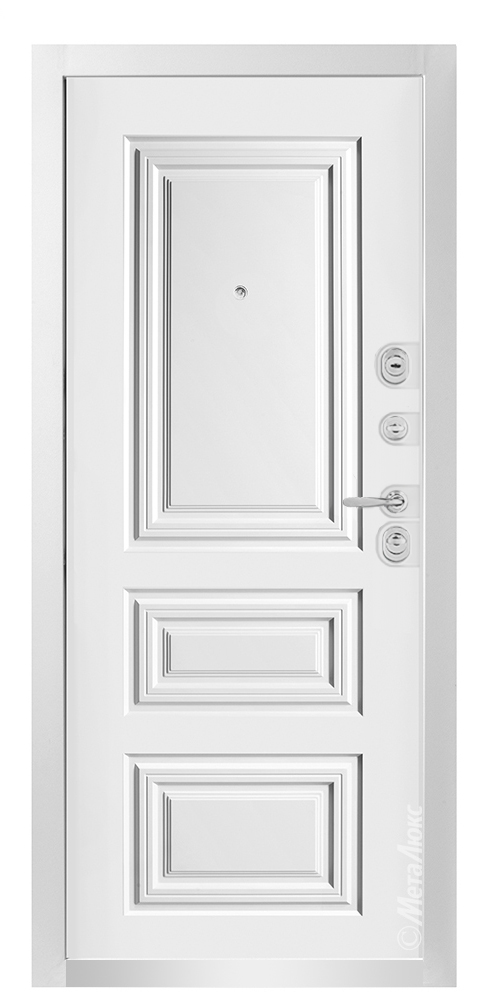 Входная дверь 