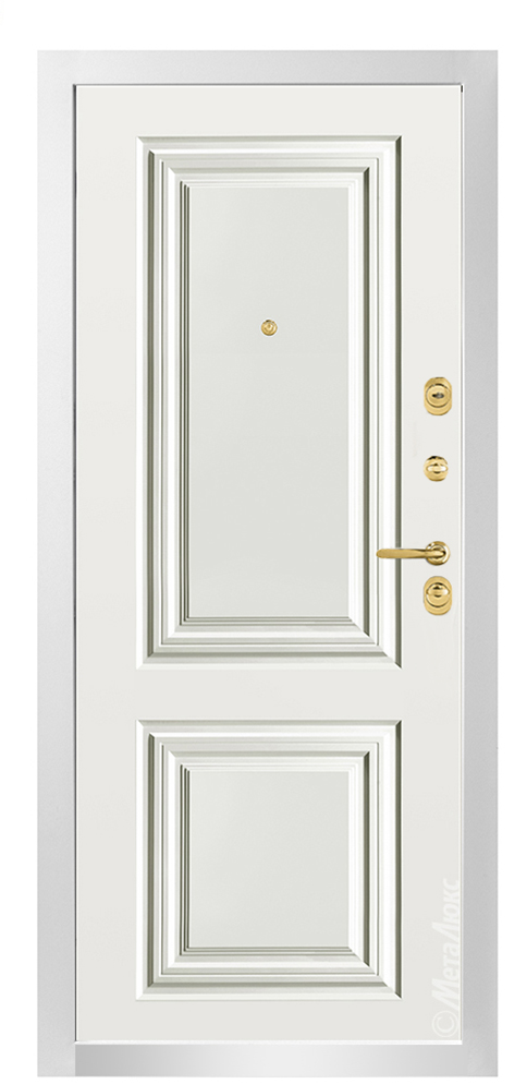 Входная дверь 