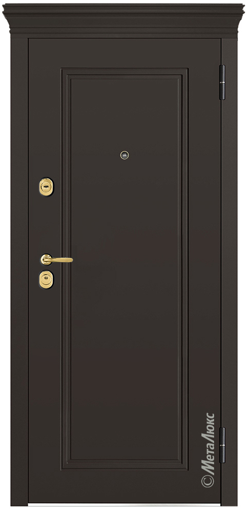 Входная дверь 