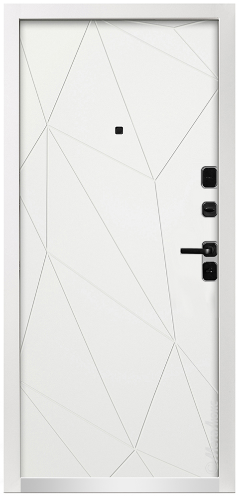Входная дверь 