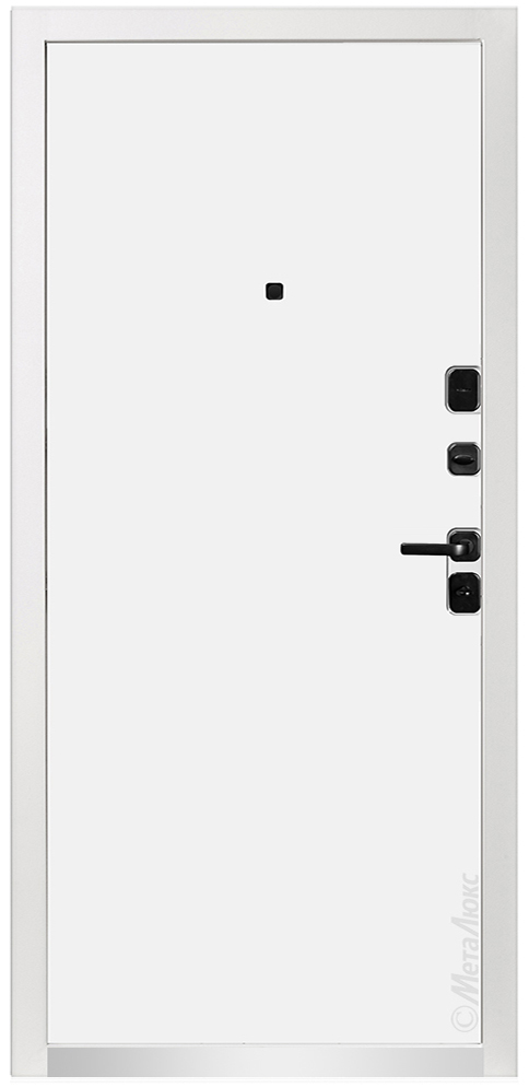 Входная дверь 