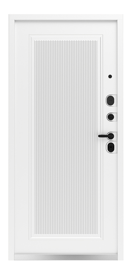 Входная дверь 