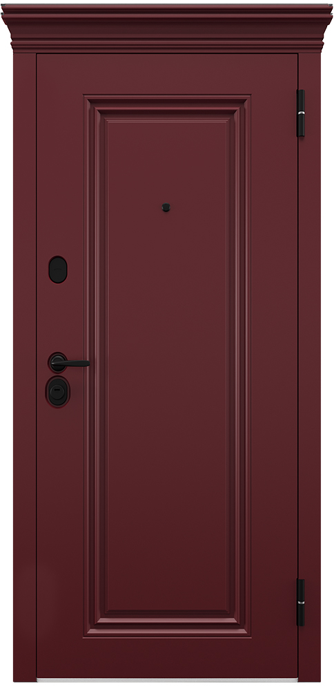 Входная дверь 