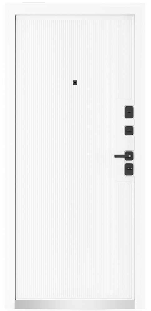 Входная дверь 