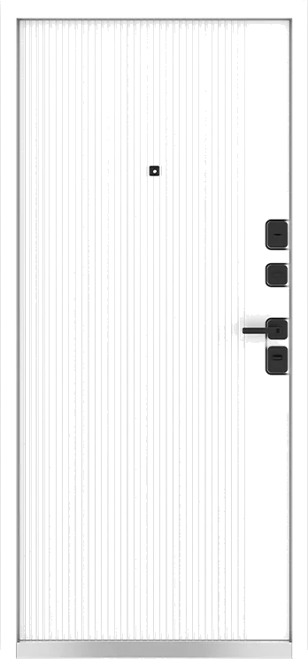 Входная дверь 