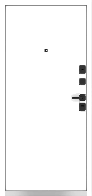 Входная дверь 