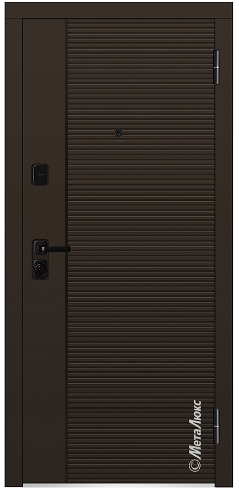 Входная дверь 