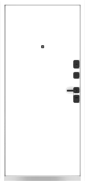 Входная дверь 