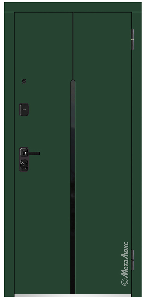 Входная дверь 