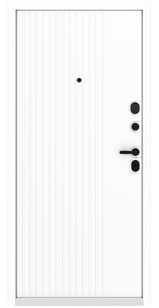 Входная дверь 