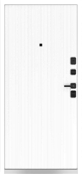 Входная дверь 