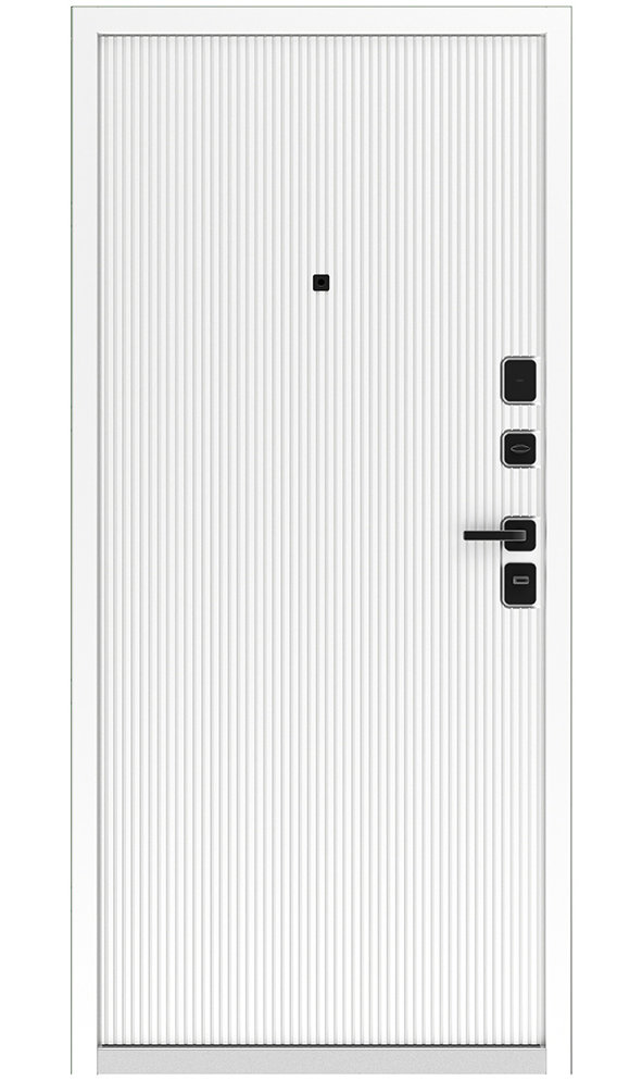 Входная дверь 