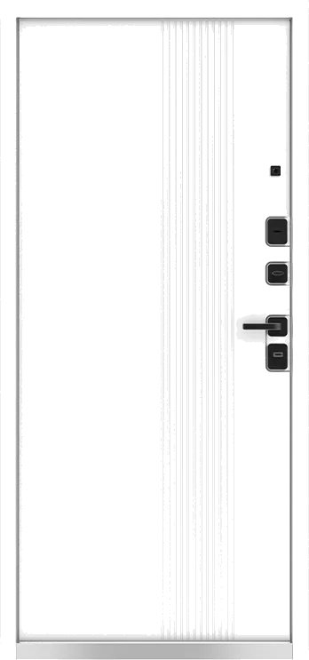 Входная дверь 