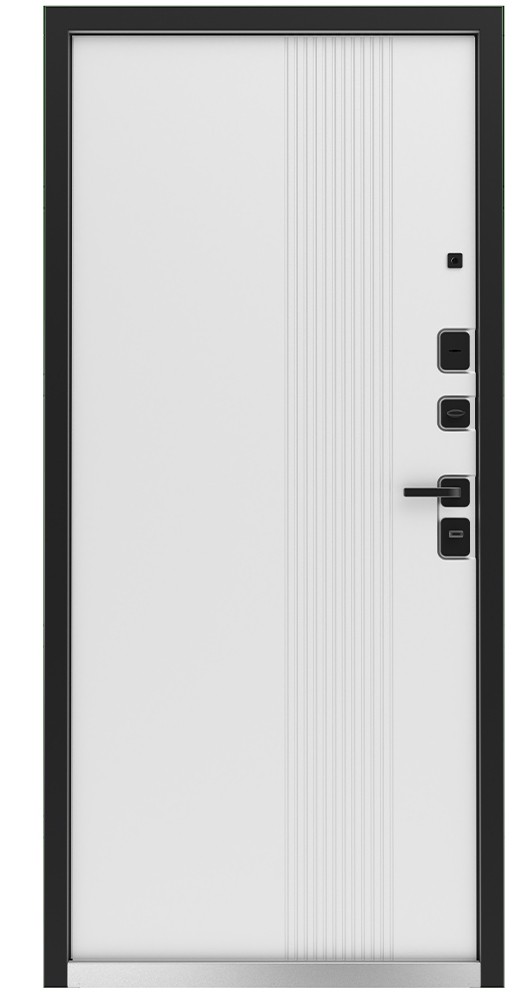 Входная дверь 