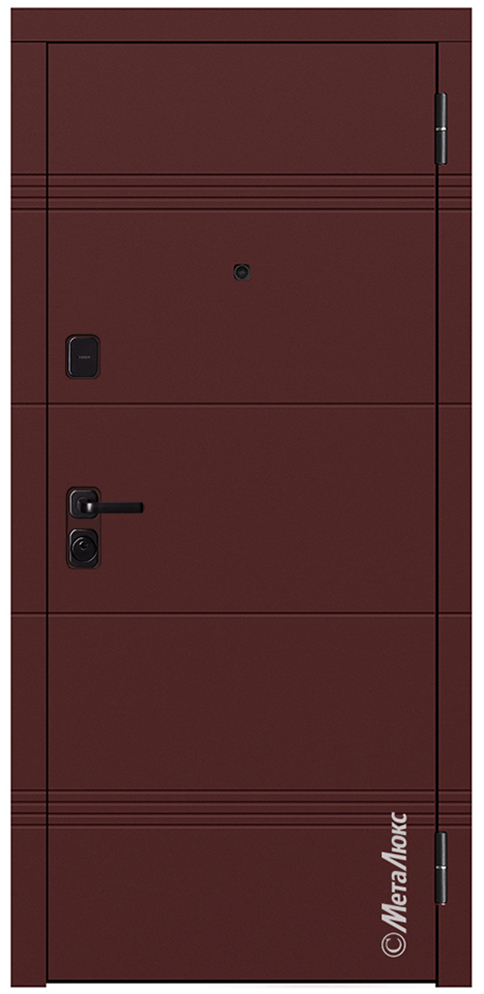 Входная дверь 