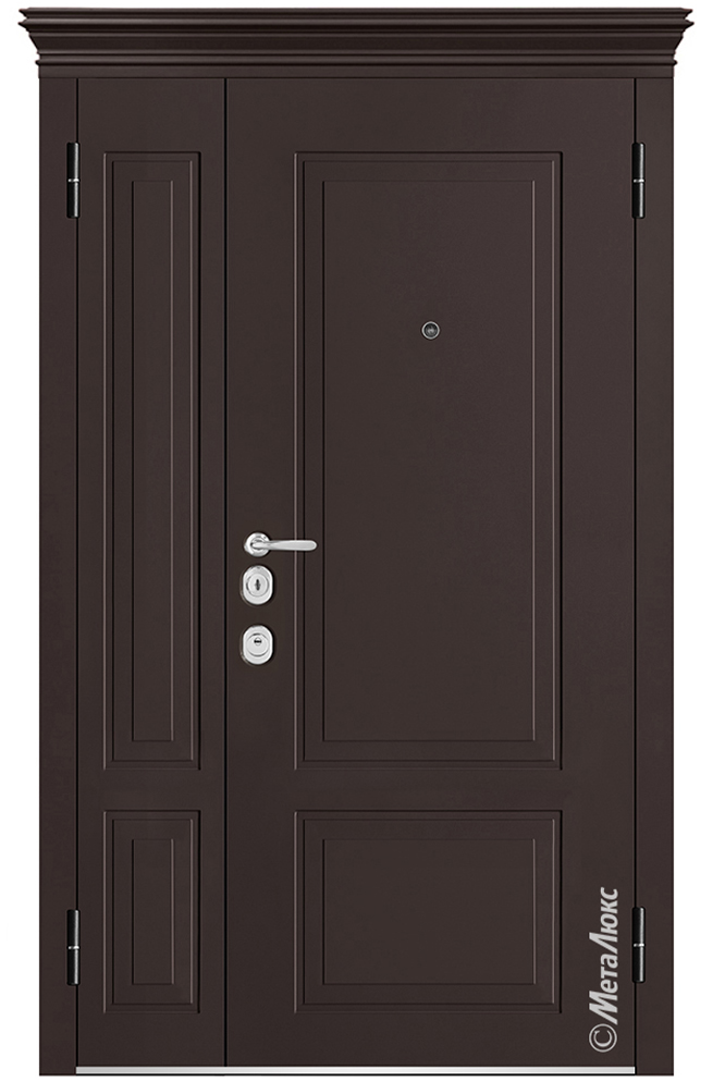Входная дверь 