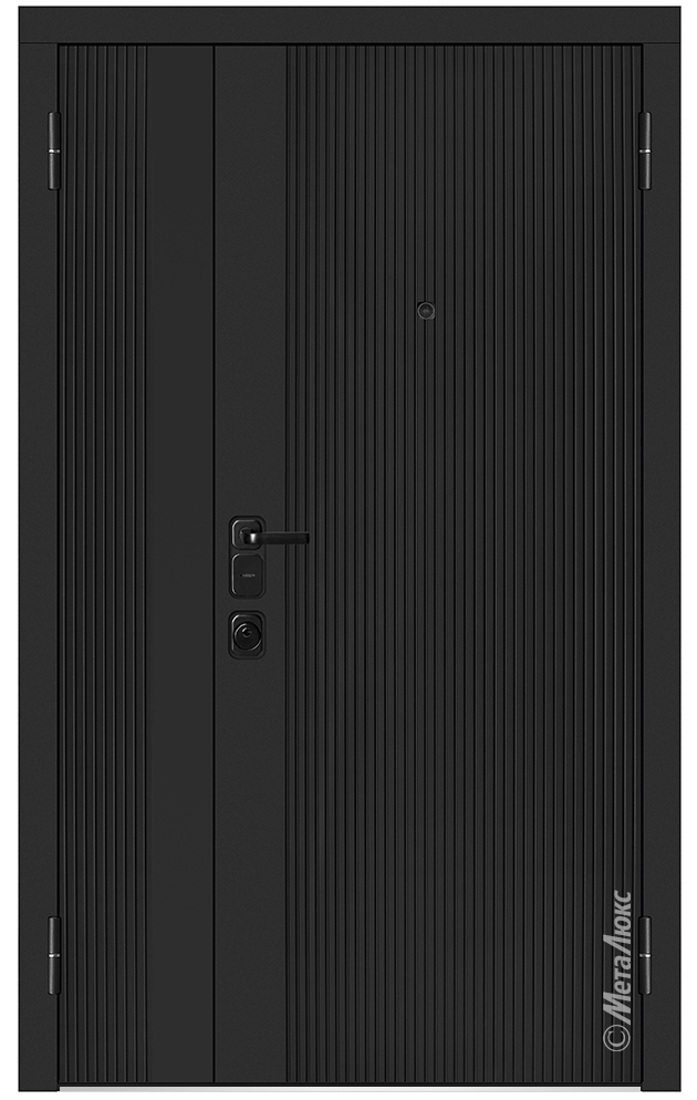 Входная дверь 