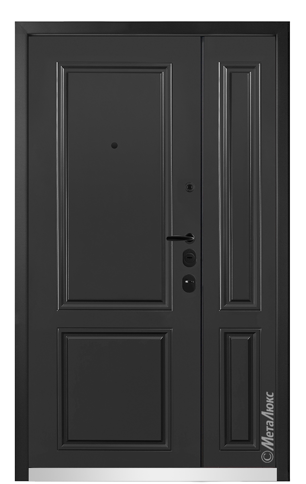Входная дверь 