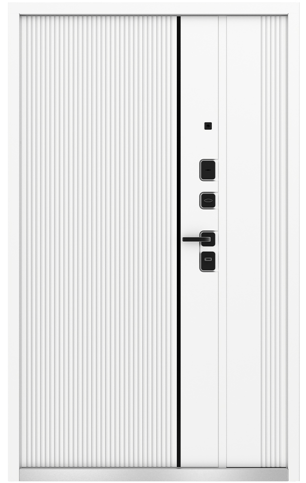 Входная дверь 