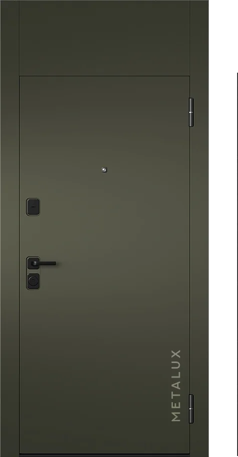 Входная дверь 