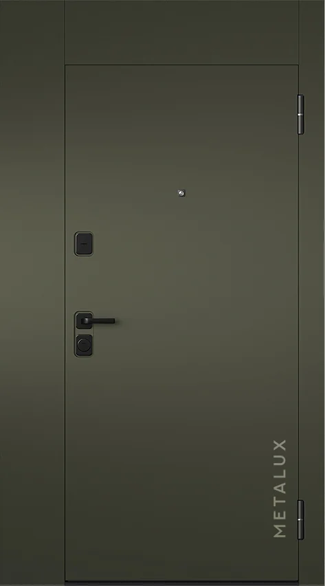 Входная дверь 