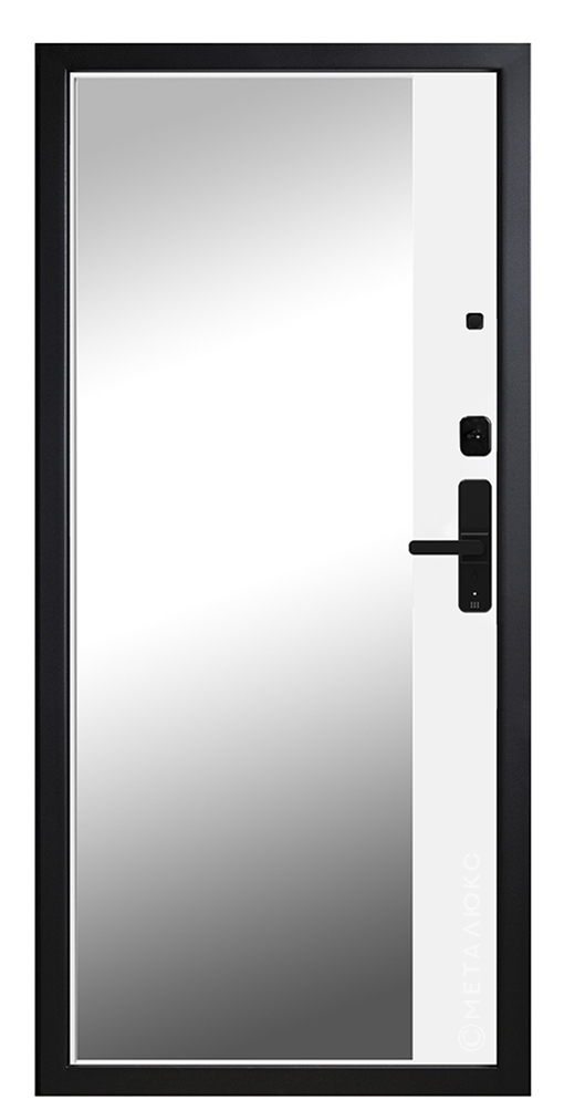 Входная дверь 