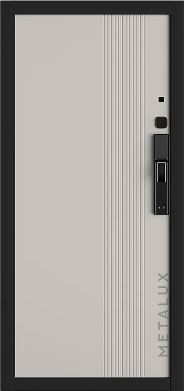 Входная дверь 