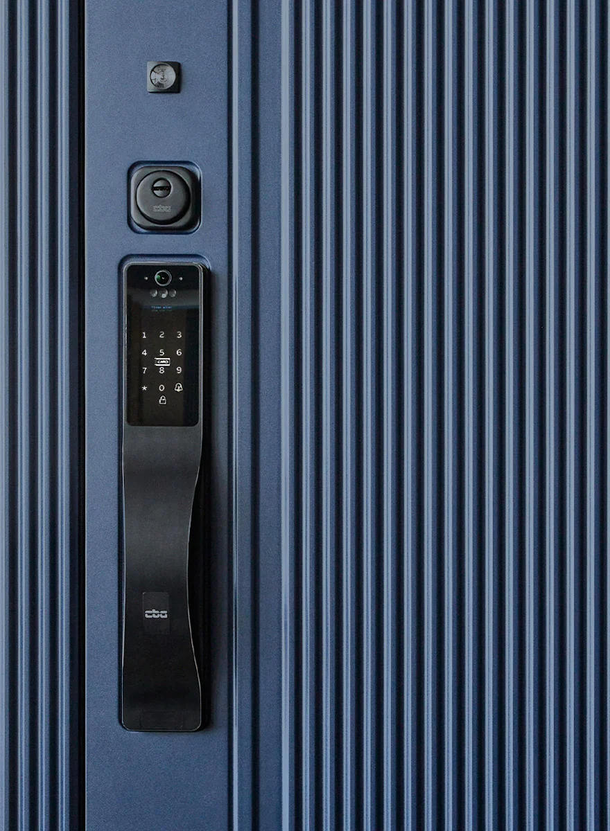 Входная дверь 