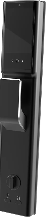 Входная дверь 