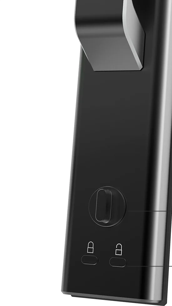 Входная дверь 