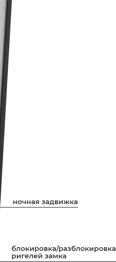 Входная дверь 