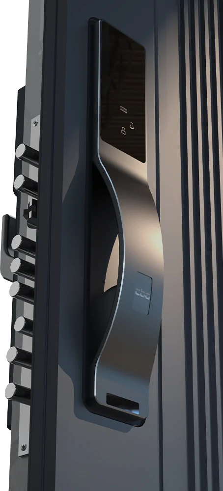 Входная дверь 