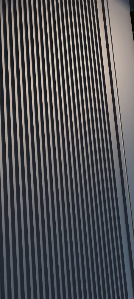 Входная дверь 