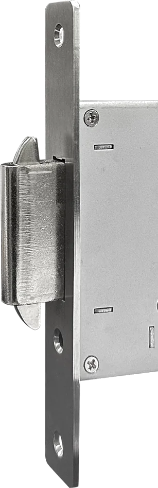 Входная дверь 