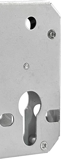 Входная дверь 