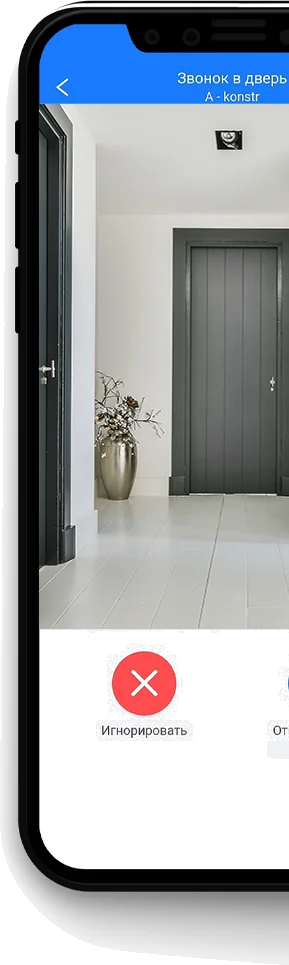 Входная дверь 