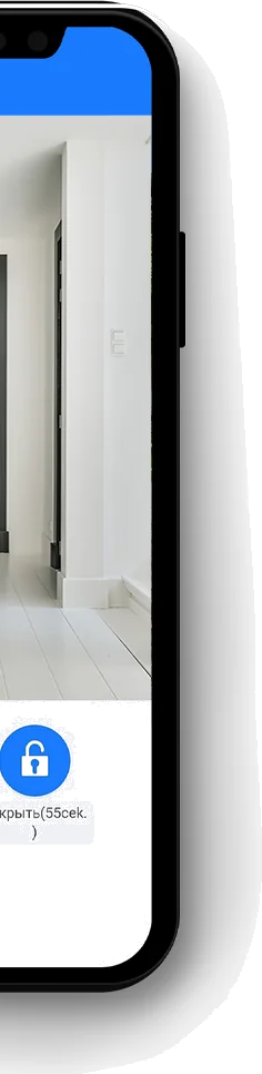 Входная дверь 