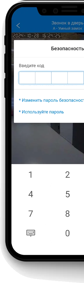 Входная дверь 