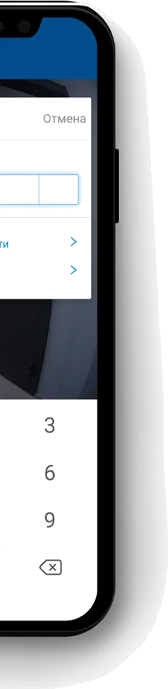 Входная дверь 