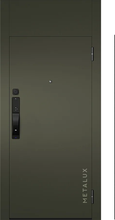 Входная дверь 