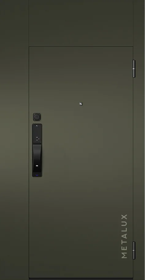 Входная дверь 