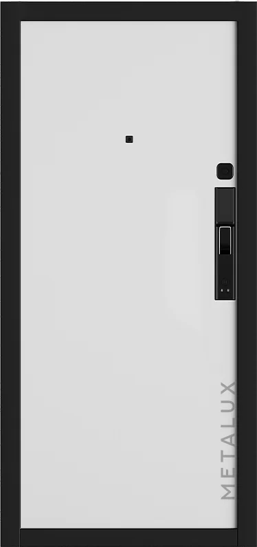 Входная дверь 