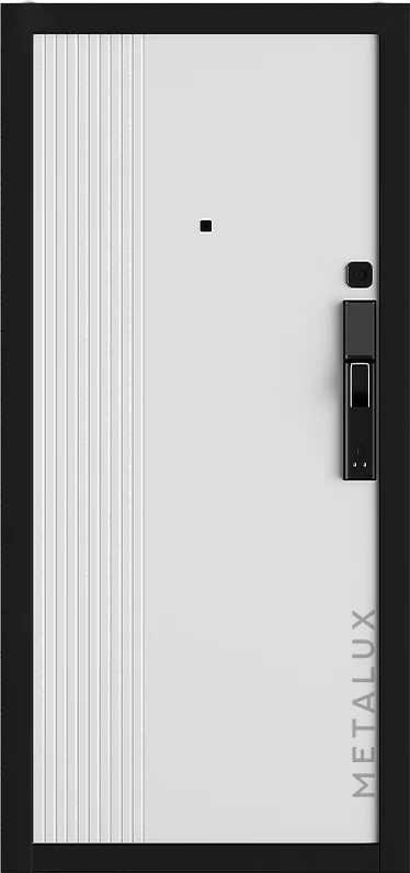 Входная дверь 