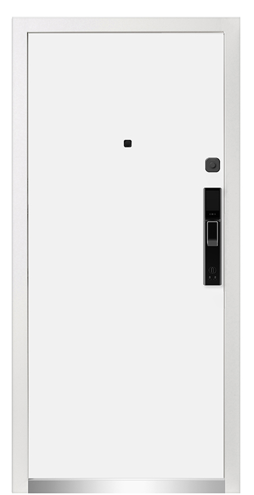 Входная дверь 