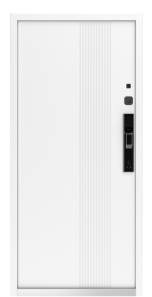 Входная дверь 