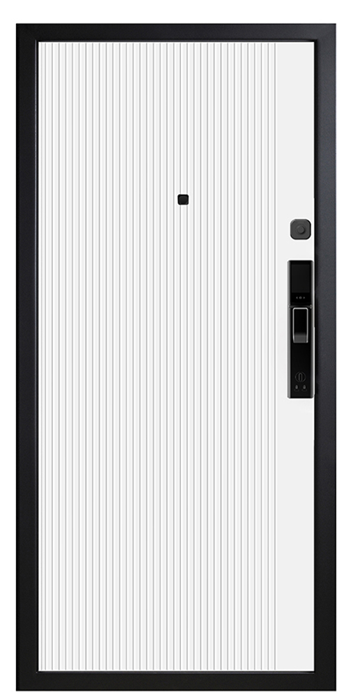 Входная дверь 