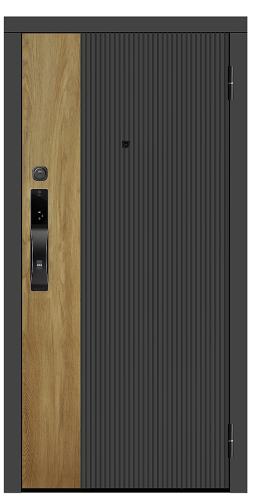 Входная дверь 